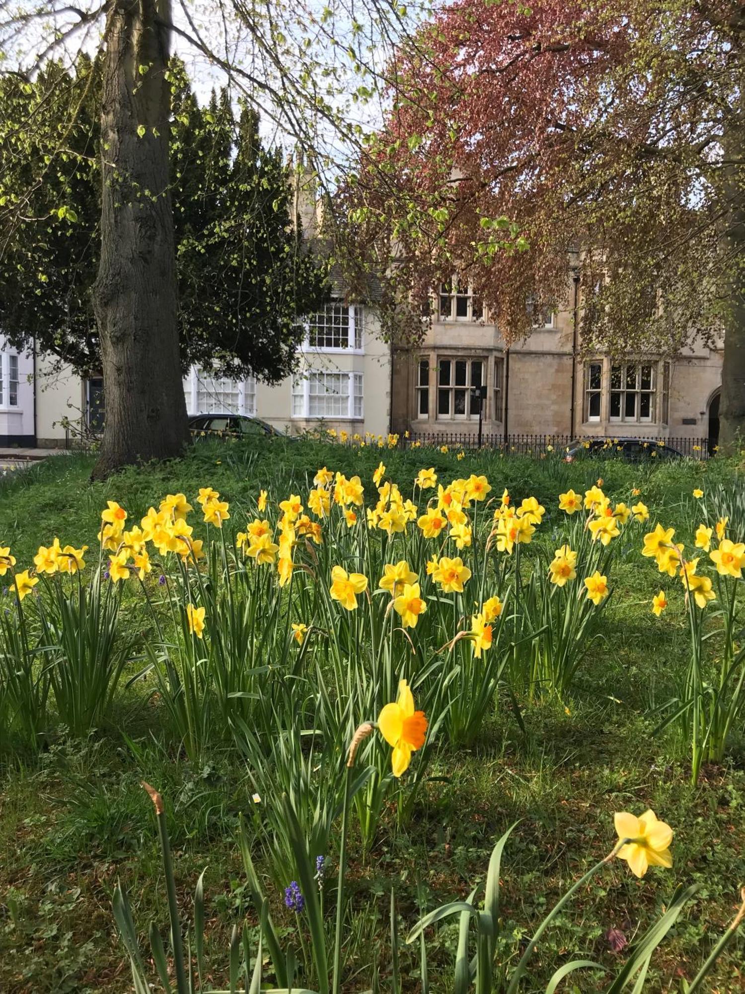 Historic Grade Ii Listed Homely Сasa de vacaciones Stamford